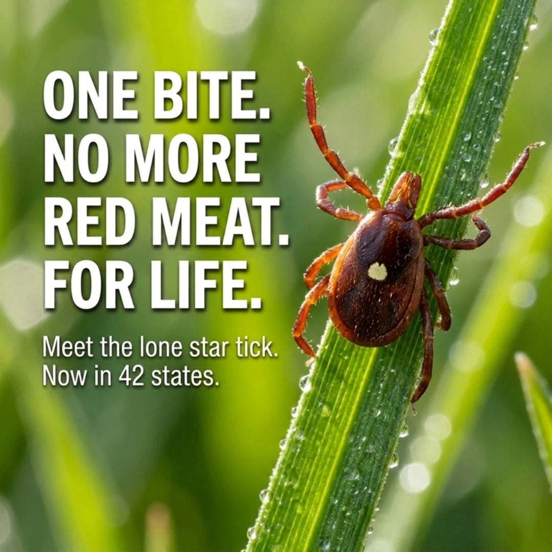 BiteBlock™ — Lone Star Tick Defense Device